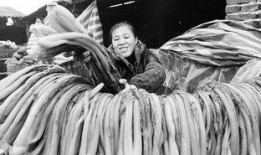 在线观看杀漠电影,暗夜追凶，复仇之路